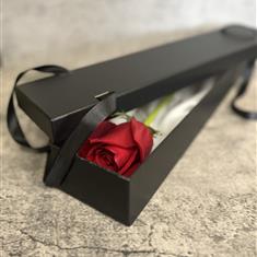 Luxury rose presented in a silk lined box 