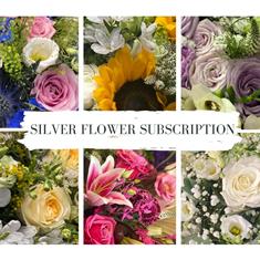 Silver Subscription