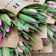 Tulip wrap 